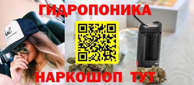 мдпв Нальчик