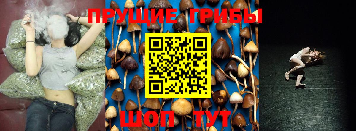 Псилоцибиновые грибы Magic Shrooms  Вход с VPN  Туймазы 