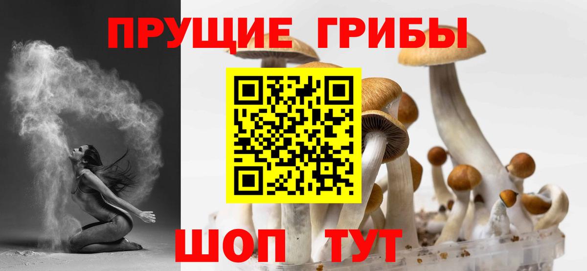 Псилоцибиновые грибы ЛСД Туймазы